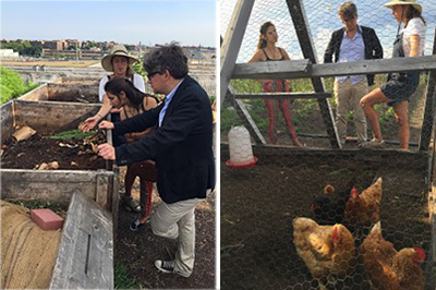 View of Brooklyn Grange Setup